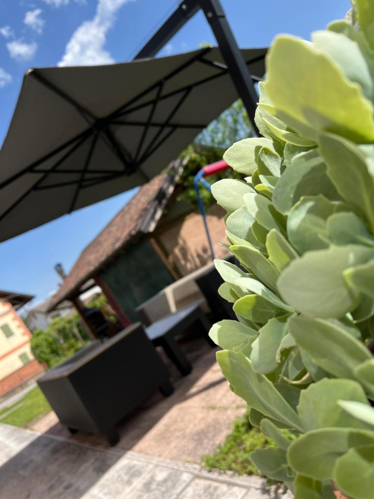 San Marcello Residence Feltre Dış mekan fotoğraf